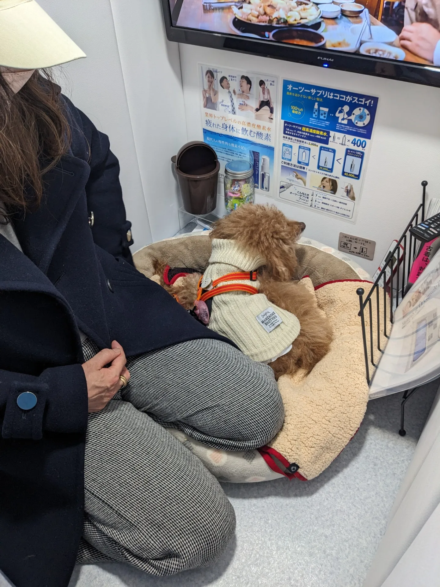 愛犬と一緒に入っていただけます