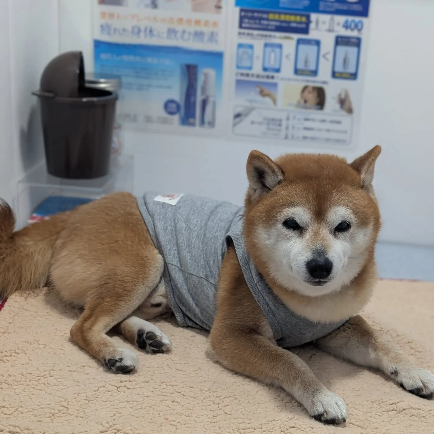 酸素ボックスでリフレッシュ♫